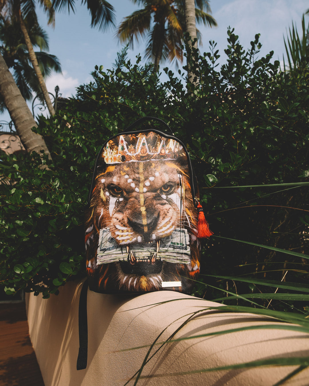 1684309321_B3808_7_1