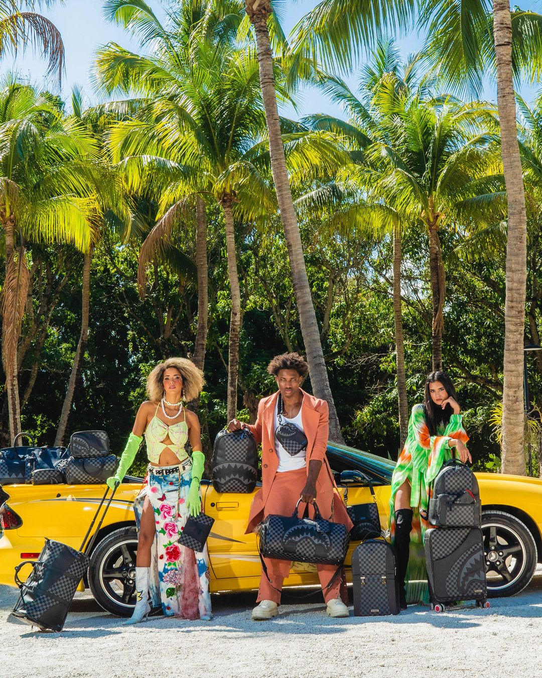 1694323246_B5594_4_1