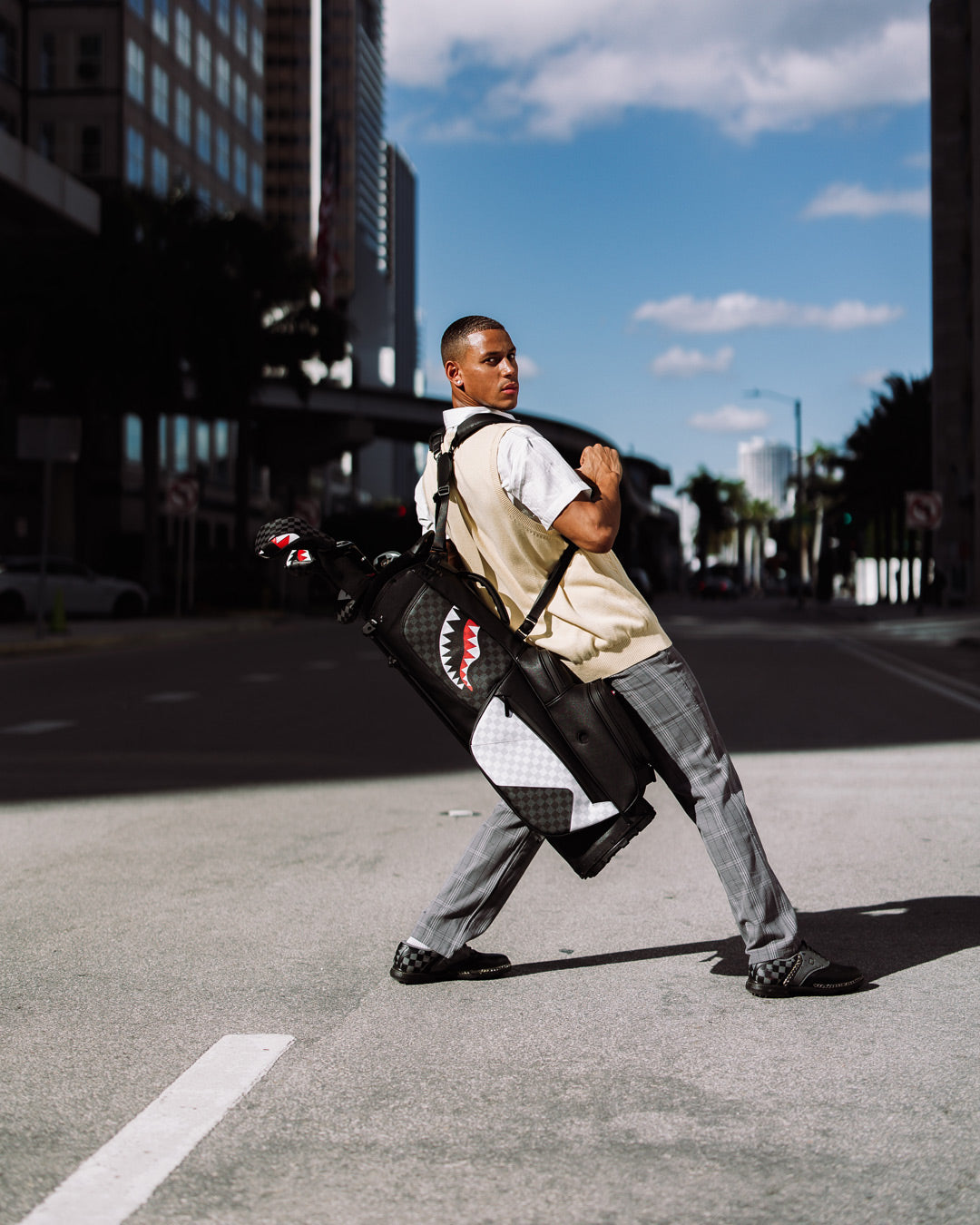 1715827073_Z6067_5_1