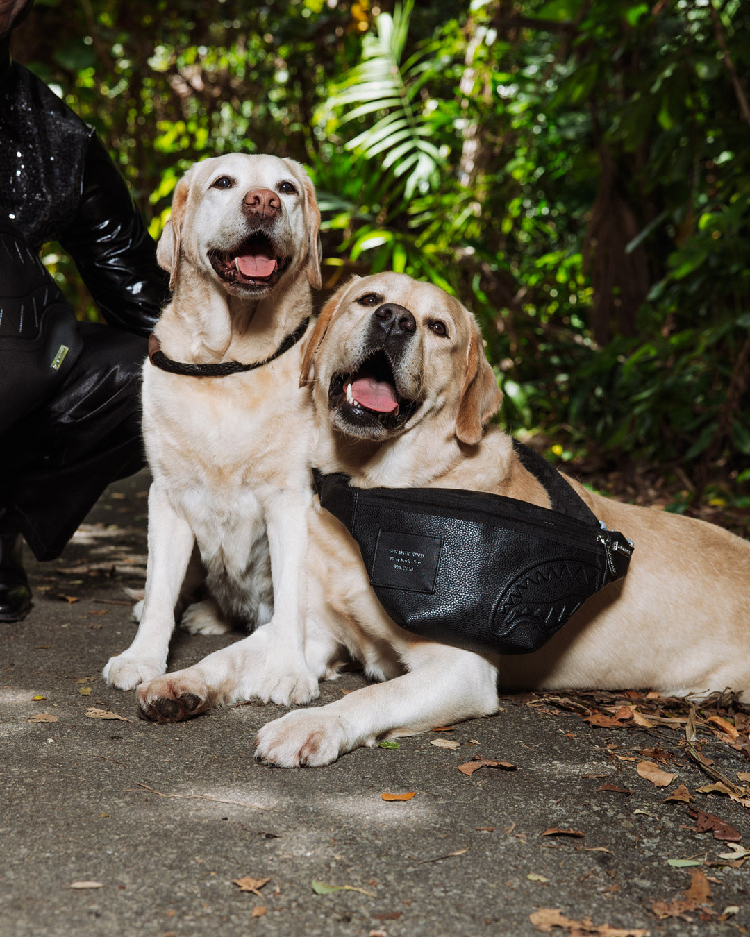 1753211973_file_2f99b63d-f0c8-4c91-a5d5-968a50713917