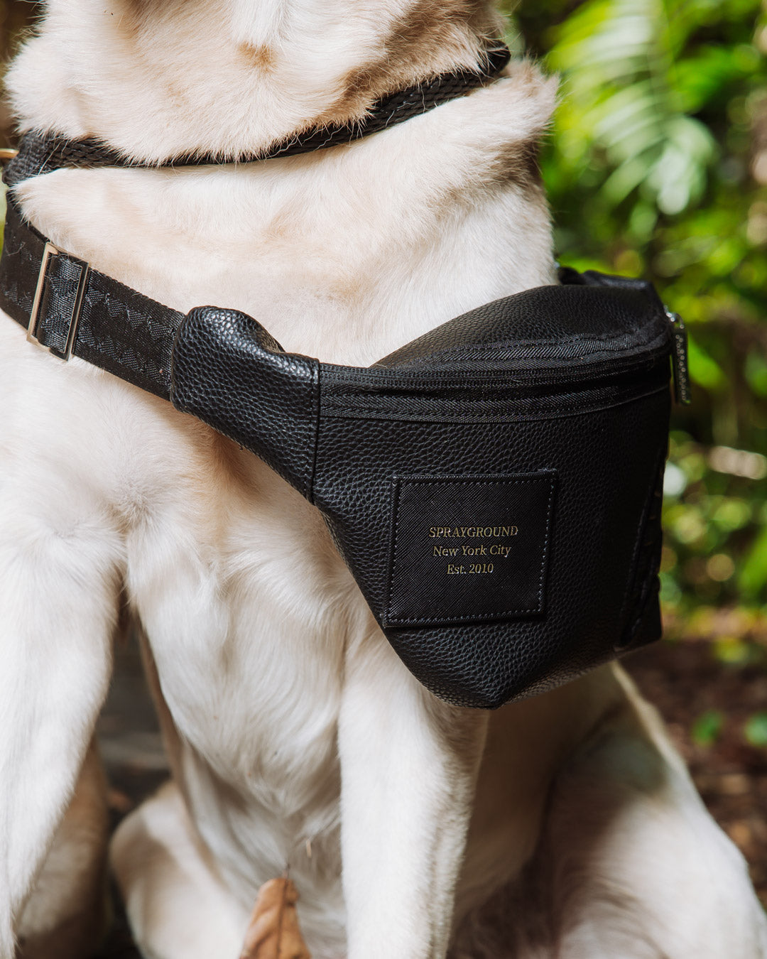 1753211973_file_5d65c25e-27eb-4240-aede-3642cb6db857