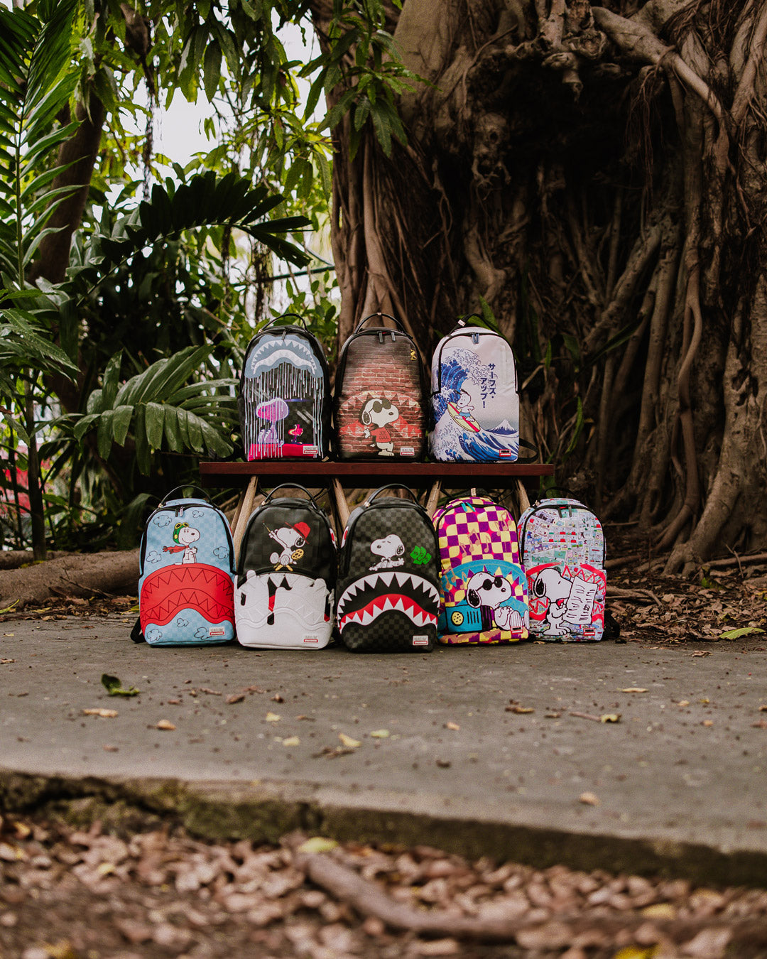 1755036802_file_c0abeb78-f53b-479f-8e0e-d0bad7efff37